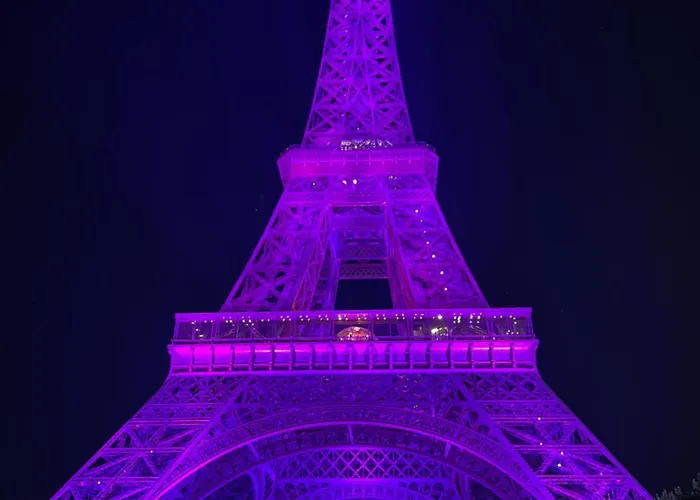 Alloggio in famiglia Eiffel Tower Oasis 30m From Eiffel Tower